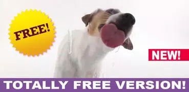 DOG LICKS SCREEN LWP FREE