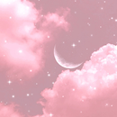 Girly Aesthetic Wallpaper APK