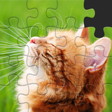 Animal puzzle games offline