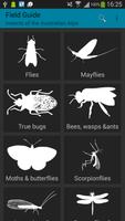 Insects of the Australian Alps capture d'écran 1