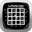 Time Grids Through Grids