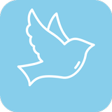 Small Wings VPN icon