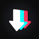 TikSaver：Watermark Remove APK