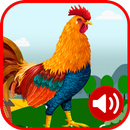 APK Rooster Ringtones