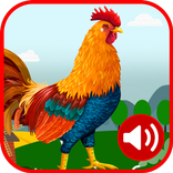 Rooster Ringtones