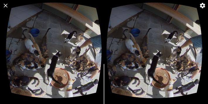 GizmoVR Lite: 360 Video & Tube 截图 3