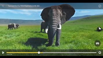 GizmoVR Lite: 360 Video & Tube Affiche