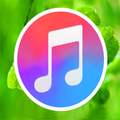 ”Nature Rain Sound