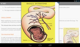 Human Body System captura de pantalla 3