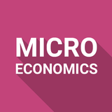 Micro Economics icône