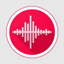 Audio Recorder Pro APK