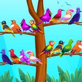 Colore uccello Ordina puzzle