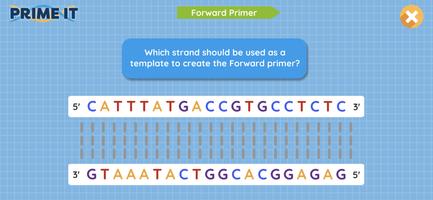 Prime It اسکرین شاٹ 2