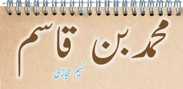 Muhammad Bin Qasim Urdu Novel by Naseem Hijazi