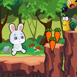 Bunny Carrot Adventure