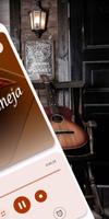 sertaneja ringtones screenshot 1
