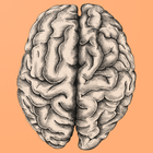 Glasgow Coma Scale  (GCS)  Pro आइकन