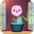 Happy glass: magic plant
