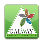 Galway Field Officer 아이콘