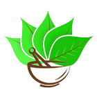 Reach Ayurveda icono