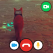 Call From Stray.cat fake call