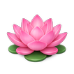 Icona Sitta: Meditation App