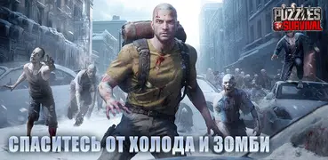 Puzzles & Survival