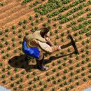 Đế chế: Thời đại chinh phục APK