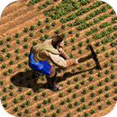 Game of Empires:Warring Realms APK