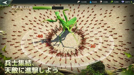 立ち上がれ、アリ帝国 アプリダウンロード