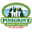 Pinegrove icon