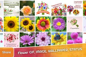Flower GIF Cartaz