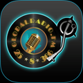 25/8/366 RADIO