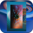 Beautiful Wallpapers HD APK