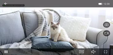 CAM365 Plus