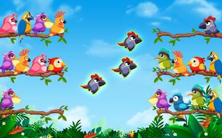Tri d'oiseaux : puzzle couleur Affiche