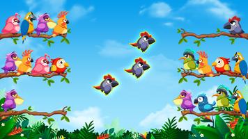 Bird Sort: Color Puzzle Game penulis hantaran