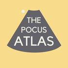 The POCUS Atlas biểu tượng