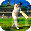 Cricket 2019