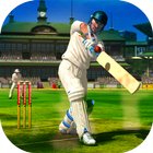 آیکون‌ Cricket 2019