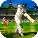 Cricket 2019 aplikacja