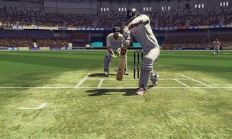Cricket 2019 الملصق