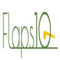 Flaps 10