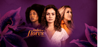 Como baixar Globoplay: Novelas, séries e + apk versão mais recente 2.321.2 para Android 2026