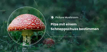 Picture Mushroom - Pilzführer
