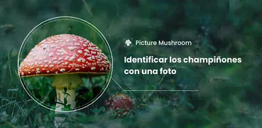 Picture Mushroom: Champiñón ID