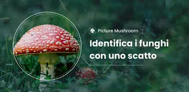 Picture Mushroom: Guida Fungo