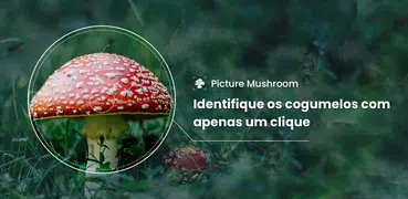 Picture Mushroom - Cogumelo ID