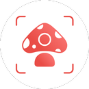 APK Picture Mushroom - Mushroom ID