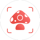 Picture Mushroom icono